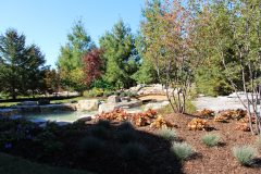 aquascape-distinctive-landscaping-inc_14869271478_o